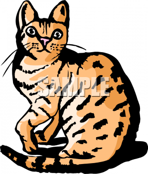 Cat Clipart