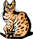 Cat Clipart