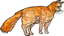 Cat Clipart