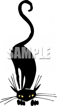 Cat Clipart