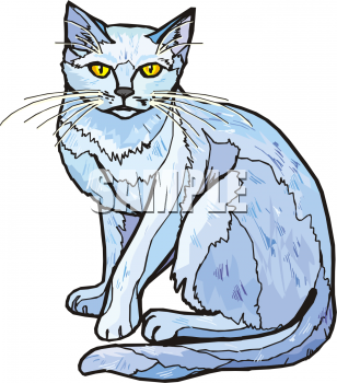 Cat Clipart