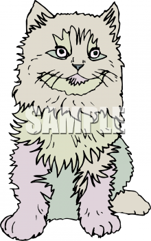 Cat Clipart