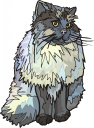 Cat Clipart