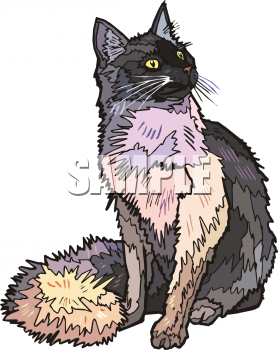 Cat Clipart