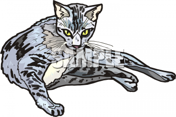 Cat Clipart