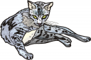 Cat Clipart