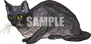 Cat Clipart