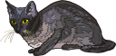 Cat Clipart