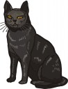 Cat Clipart