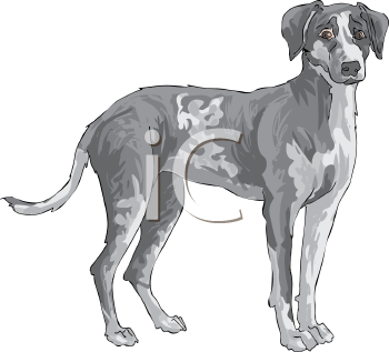 Dog Clipart