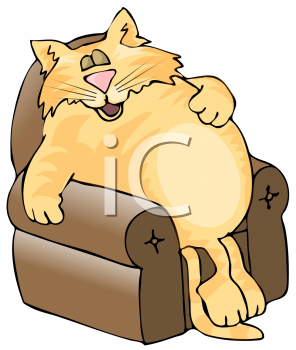 Cat Clipart