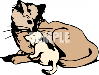 Cat Clipart