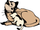 Cat Clipart