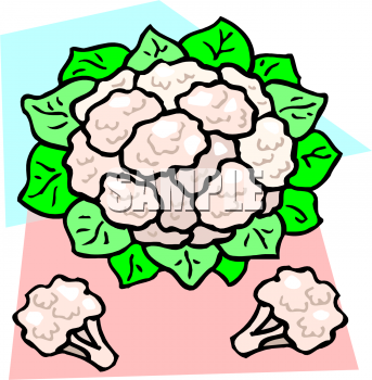 Cauliflower Clipart