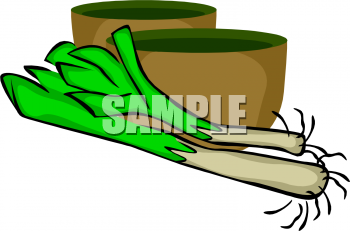 Celery Clipart