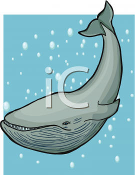 Whale Clipart