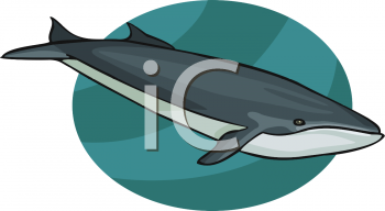 Whale Clipart