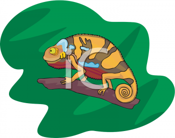 Chameleon Clipart