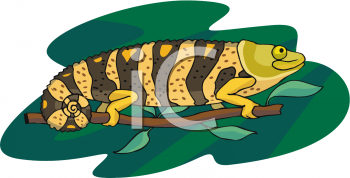 Chameleon Clipart