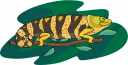 Chameleon Clipart