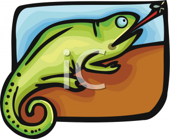 Chameleon Clipart