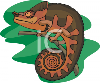 Chameleon Clipart