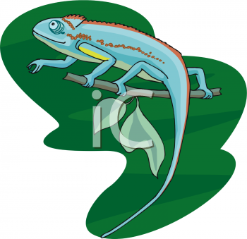 Chameleon Clipart