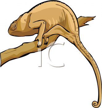 Chameleon Clipart