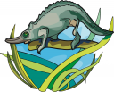 Chameleon Clipart