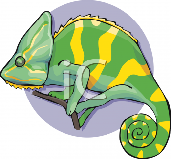 Chameleon Clipart