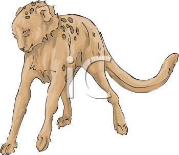 Cheetah Clipart