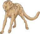 Cheetah Clipart