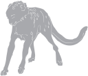 Cheetah Clipart