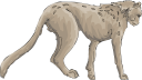 Cheetah Clipart