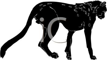 Cheetah Clipart