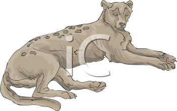 Cheetah Clipart