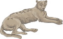 Cheetah Clipart