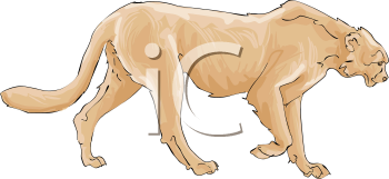 Cheetah Clipart