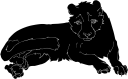 Cheetah Clipart