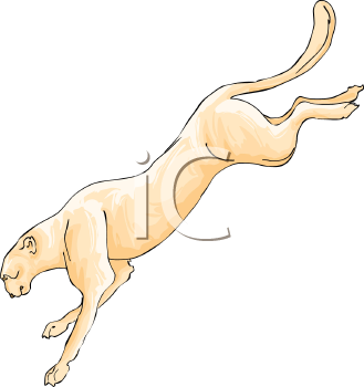 Cheetah Clipart