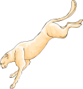 Cheetah Clipart