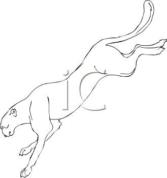 Cheetah Clipart