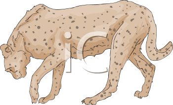 Cheetah Clipart