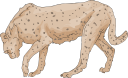 Cheetah Clipart