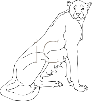 Cheetah Clipart