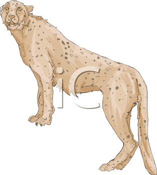 Cheetah Clipart