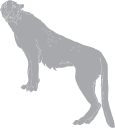 Cheetah Clipart