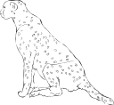 Cheetah Clipart