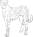 Cheetah Clipart