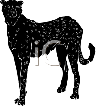 Cheetah Clipart